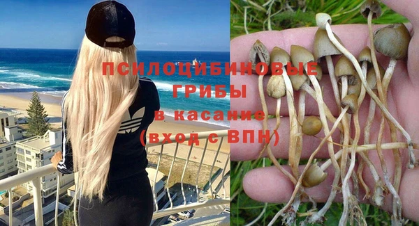 индика Алзамай