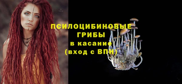 индика Алзамай