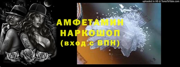 индика Алзамай