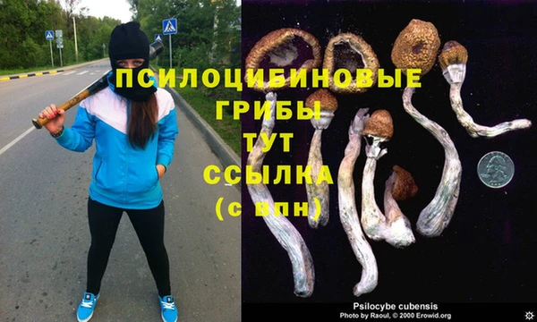 герыч Алапаевск