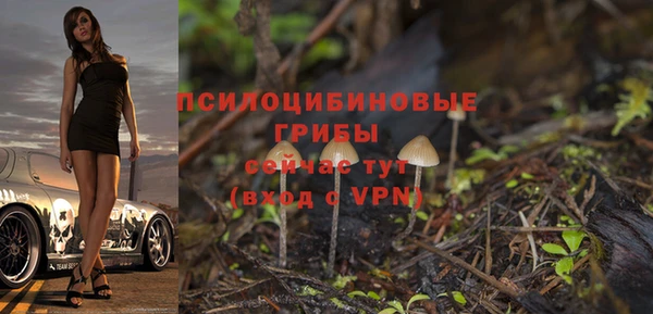 кокс Абдулино