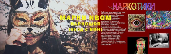 индика Алзамай