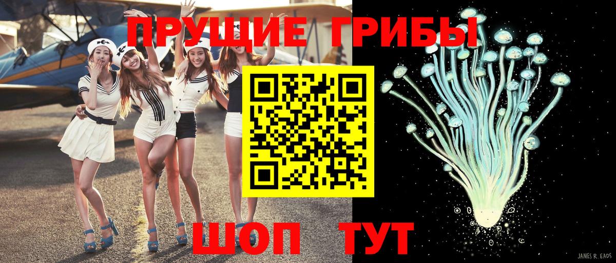 Псилоцибиновые грибы Psilocybine cubensis Барнаул
